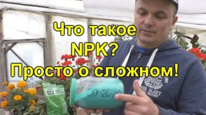 💥 Что такое NPK? Разбираем «удобрялки» без сложных терминов!
