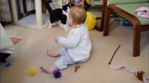 Смешное видео про котов#1✿Забавные дети и кошки.