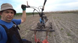 МОТОБЛОК НЕВА РАБОТАЕМ ЕЖАМИ ПО КАРТОФЕЛЮ #ПОЛОЛЬНИКИ