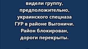 В Брянском приграничье идёт операция по поиску и ликвидации ДРГ