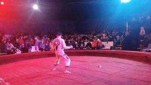 Киевский передвижной цирк-шапито"Сфера"-3