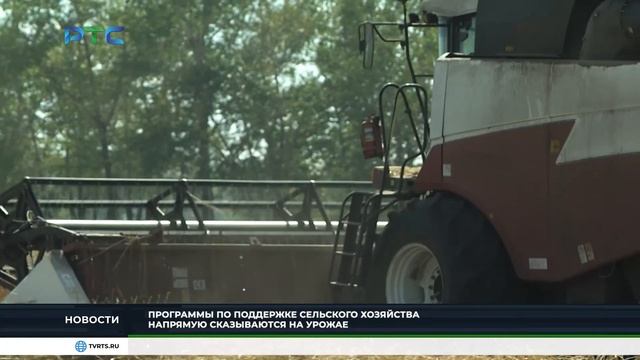 Хлеборобы Хакасии надеются на богатый урожай пшеницы смотреть онлайн