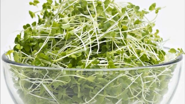 Профилактика Всех БОЛЕЗНЕЙ! Обязательно добавь БРОКК? смотреть онлайн