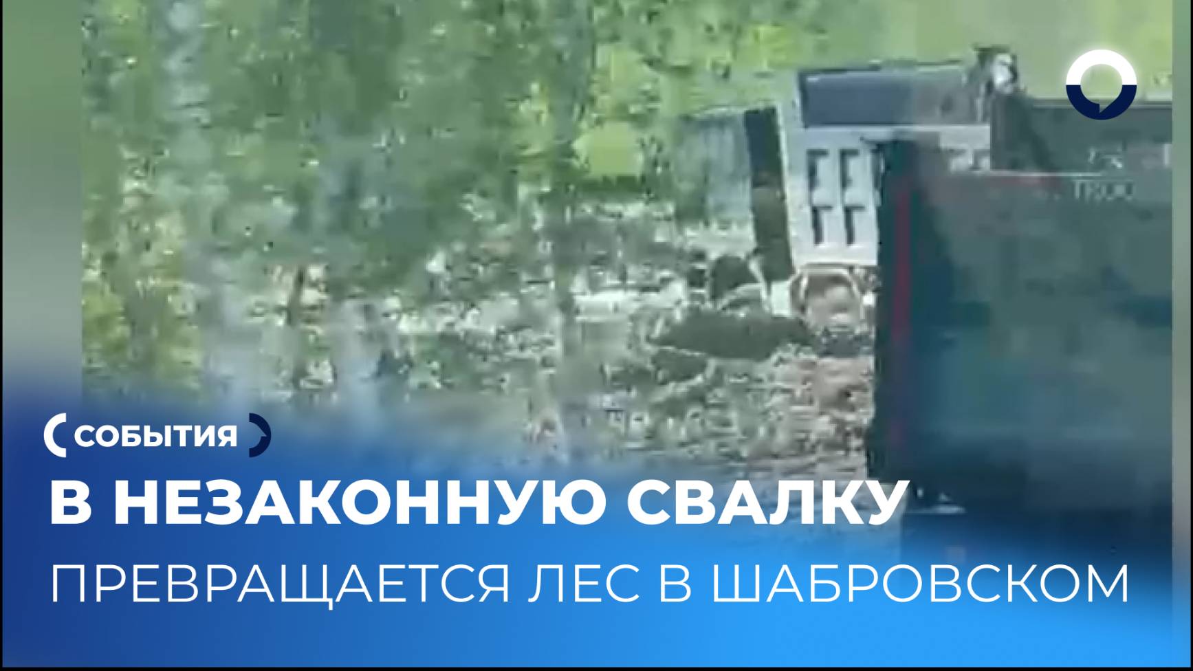 Местные жители фиксируют разгрузку мусора в лесу