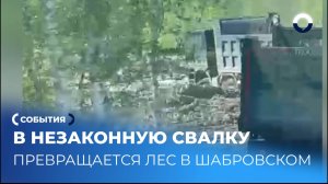 Местные жители фиксируют разгрузку мусора в лесу