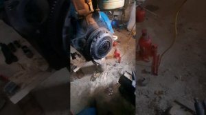 лепесткова корзина на мтз80 дуже хороша штука рекоменд
