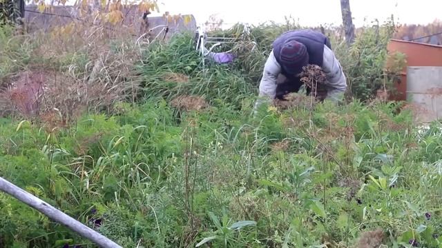 ЖИВУ В ГЛУШИ НА КРАЮ ДЕРЕВНИ, ЗАПАСЫ НА ЗИМУ ГОТОВЫ. смотреть онлайн