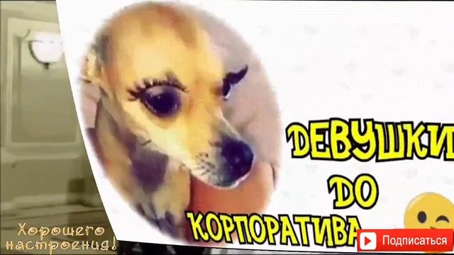 😉Ну же,улыбнись!Хорошего настроения и позитива.🤗
