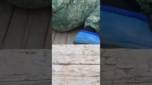 Вездеход переломка на воде