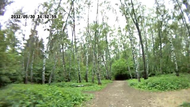 Измайловский лесопарк смотреть онлайн