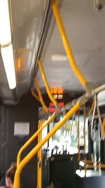 Жизнь в Торонто. Канада. Автобусы Торонто/ Интересный факт. Прикол. 21й век. #love #canada #toronto смотреть онлайн