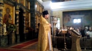 Архив Проповедь иерея Константина Корепанова за Божественной литургией 24.12.2017