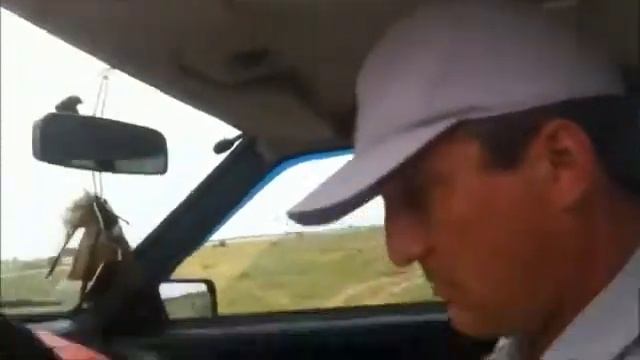 Выносит мозг гаишнику
