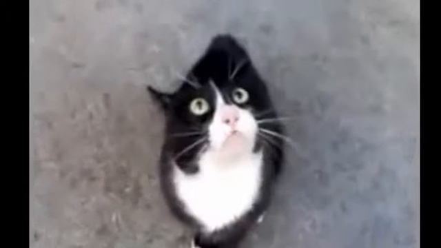 Где детонатор смотреть онлайн