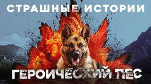 СТРАШНЫЕ ИСТОРИИ «Героический Пёс»