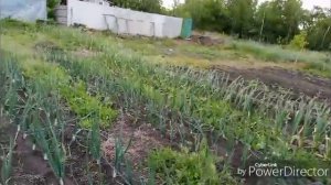 С посадками и день быстро пролетел.