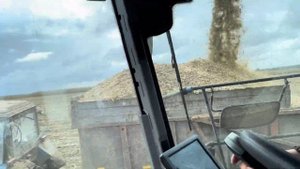 Gomselmash FS 650 Уборка кукурузы 2024