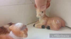 Сериал собак шляйх (собачья стая номер 46.🐕🐶🐺) 12 серия.