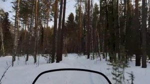 Тест снегохода Фронтьер 1000/2025. День 2. 178 км по тайге с В?