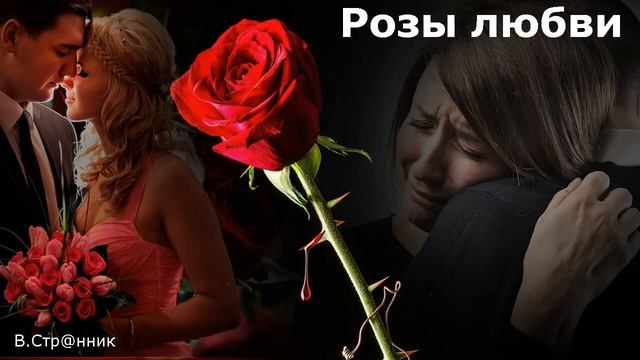 Розы любви - Вадим Странник смотреть онлайн