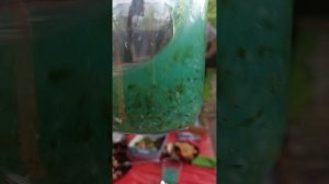 ПП Правильное питьё