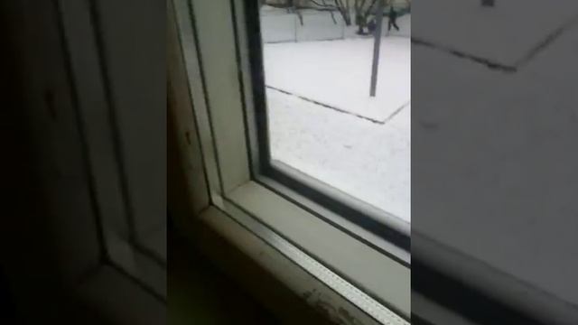 Роботы Фредди