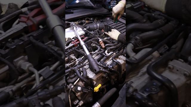 VAG могила BMW сила