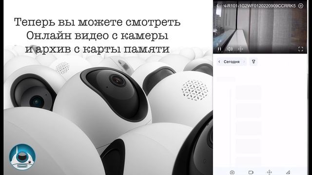 Как использовать камеру EZVIZ без Wi-Fi и интернета: Прямое