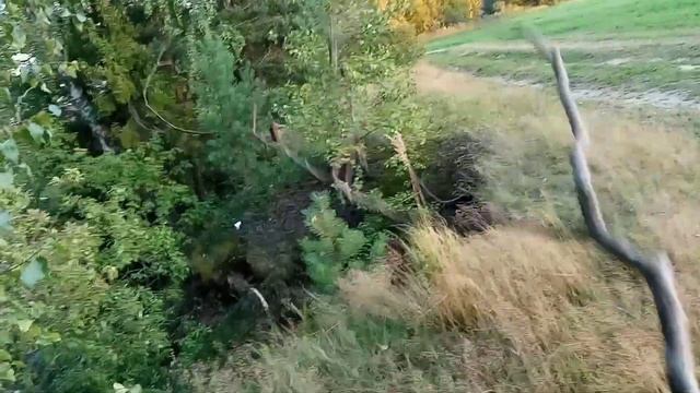 приколы на речке