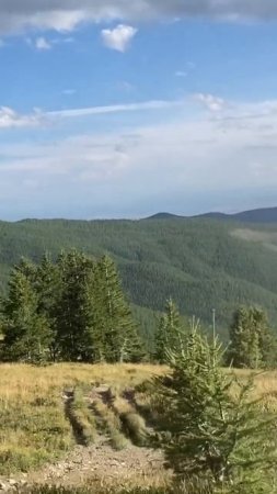 59. Красота на высоте 2200 #nature #горы #природа #mountains #travel #озеро #automobile #поход