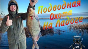 Подводная охота на Ладоге_ Рекордный Лещ_Архивное видео за 2024 год