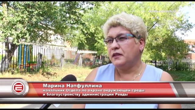 Быть или не быть пляжу в Ревде? смотреть онлайн