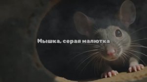 Мышка, серая малютка