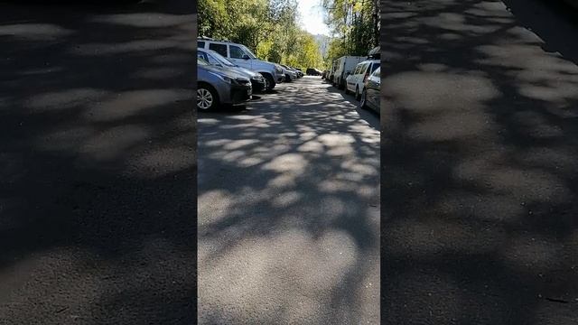 Красносельский