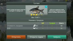 My fishing world топовый фарм для новичков на густере!!!