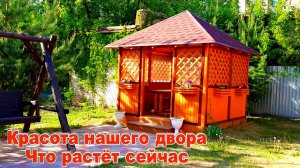 Любимый Мой Дворик  Дизайн