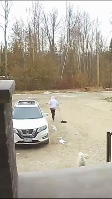 Прогулка с собакой без собаки