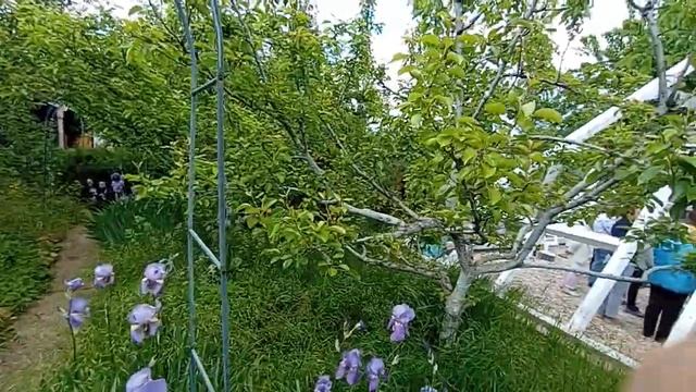 Построение Городов Солнца МаЭД. Мистерия создания Державы Света изЛотоса мира.Универсолис.18.05.МНШУ