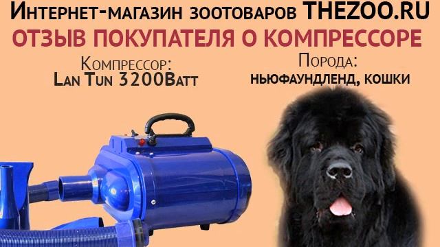 Отзыв: Светлана, Lan Tun 3200 Ватт, порода - ньюфаундленд, ко? смотреть онлайн