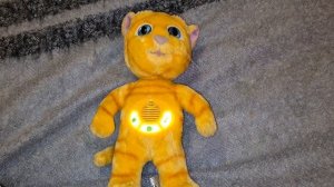 Говорящий Джинджер