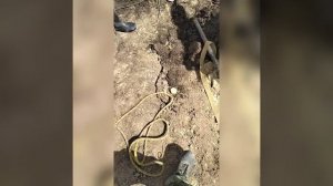 Чистка питьевого колодца в Чебоксарах