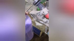 Мазда фамилия замена сайлентблоков переднего рычага