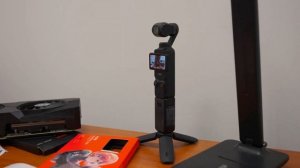 Инвестировал 200к в бизнесы подписчиков. Сколько заработали за неделю в Питере с нуля?