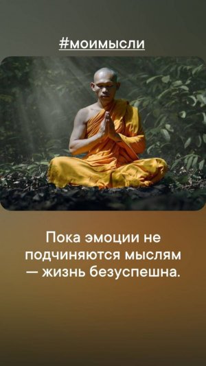 Пока эмоции не подчиняются мыслям, жизнь безуспешна.