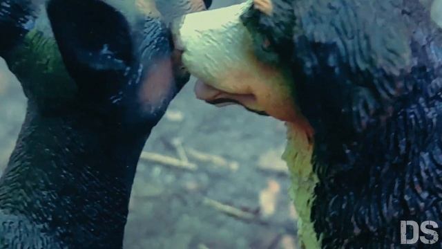 НОЧНЫЕ ШОРОХИ//Улетай на крыльях ветра//Клип по сериал? смотреть онлайн