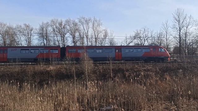 Перегон Псков-Пассажирский - Любятово. Пригородные по? смотреть онлайн