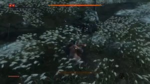 Sekiro Shadows Die Twice - Гэнитиро Асина в начале игры / Genichiro Ashina