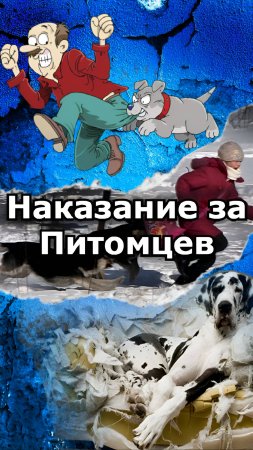 Нападение животного: кто виноват по закону РФ?