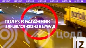 Момент смертельного ДТП на МКАД — водитель BMW остановился и полез в багажник