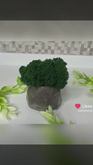 Гипсовое изделие «Домик» + мох стабилизированный.Разм смотреть онлайн